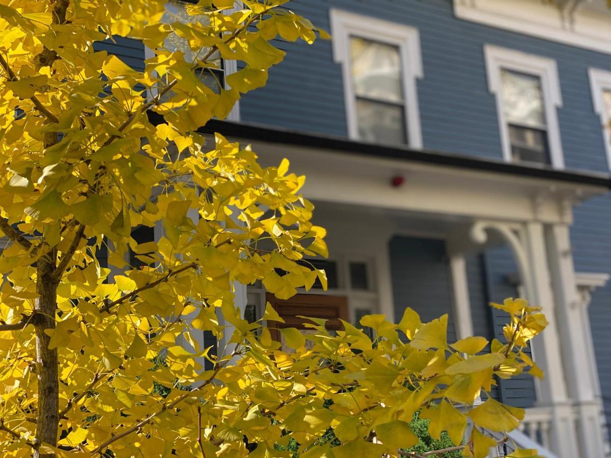 Ginkgo House On Harvard كامبريدج المظهر الخارجي الصورة