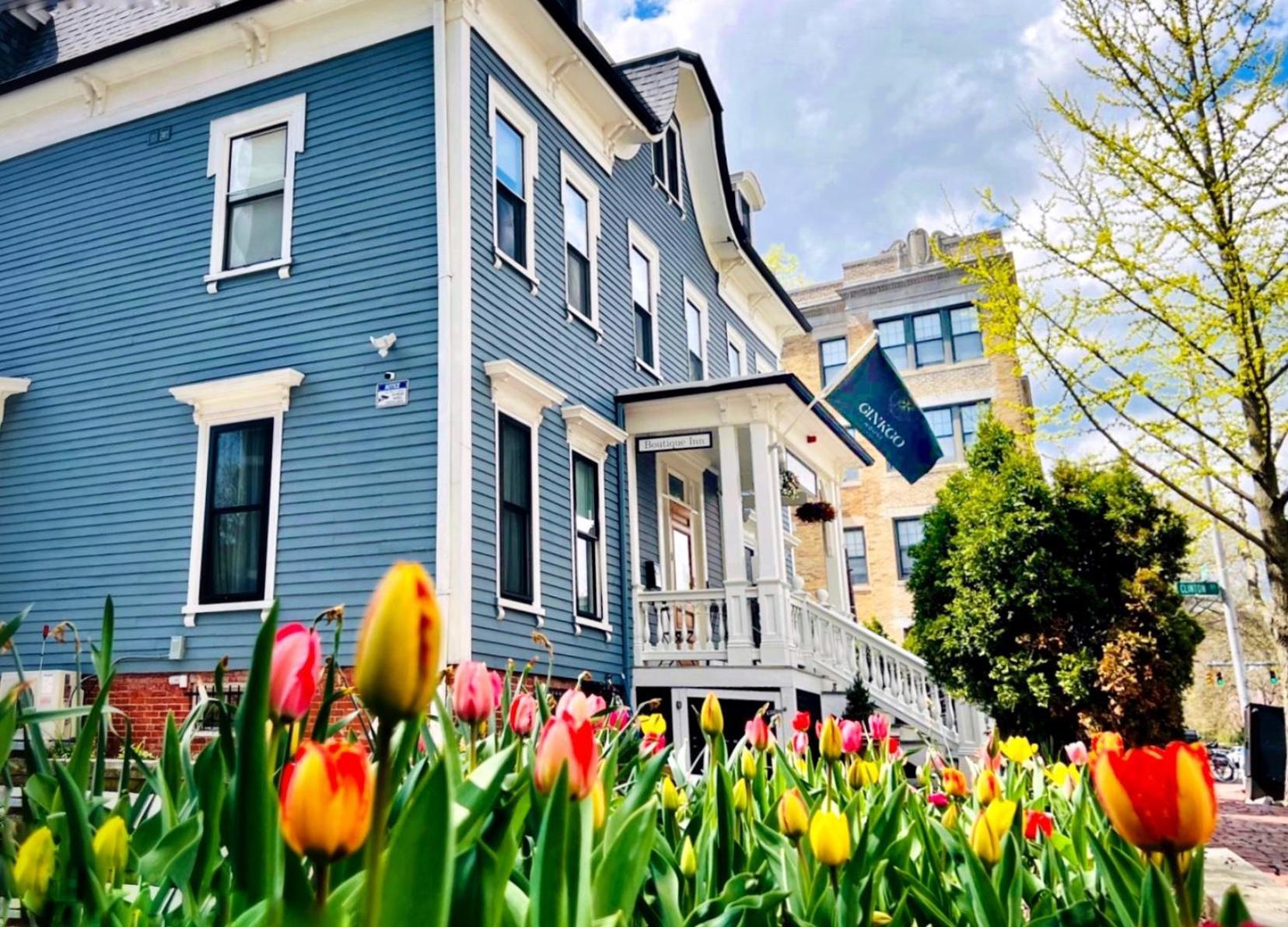 Ginkgo House On Harvard كامبريدج المظهر الخارجي الصورة