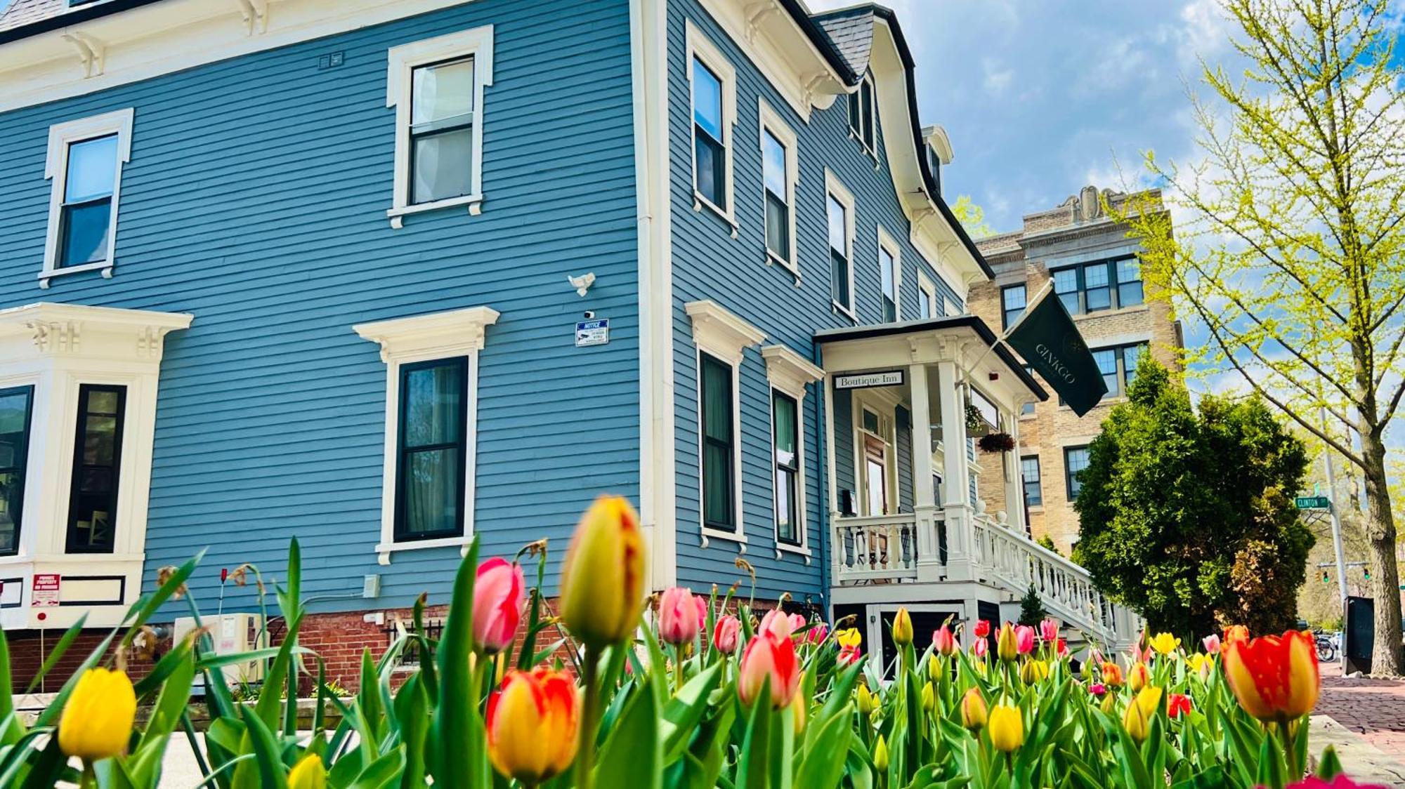 Ginkgo House On Harvard كامبريدج المظهر الخارجي الصورة