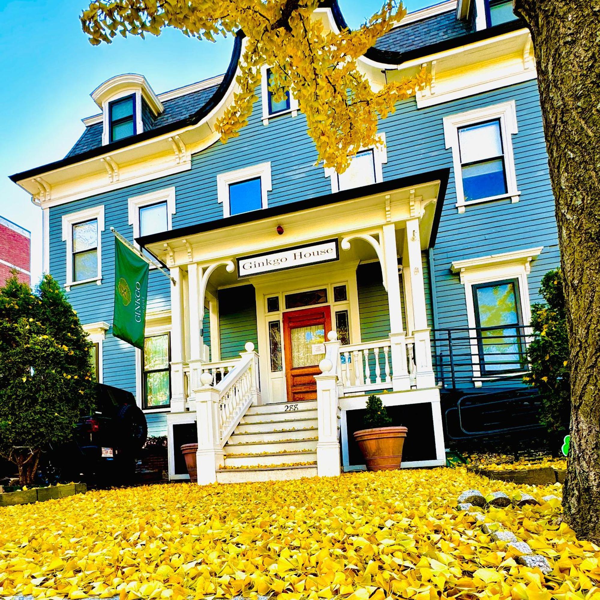 Ginkgo House On Harvard كامبريدج المظهر الخارجي الصورة